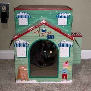 Meet your Posher, Sshannon